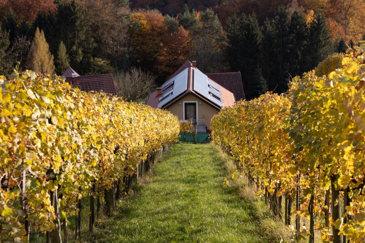 Weinberghaus Am Burgstallkogel Лайбниц Екстериор снимка